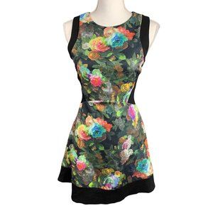 Jealous Tomato Fit and Flare Sleeveless Dress